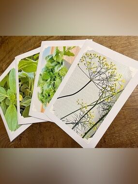 Botanical Photo Greeting Cards - Set of 4
